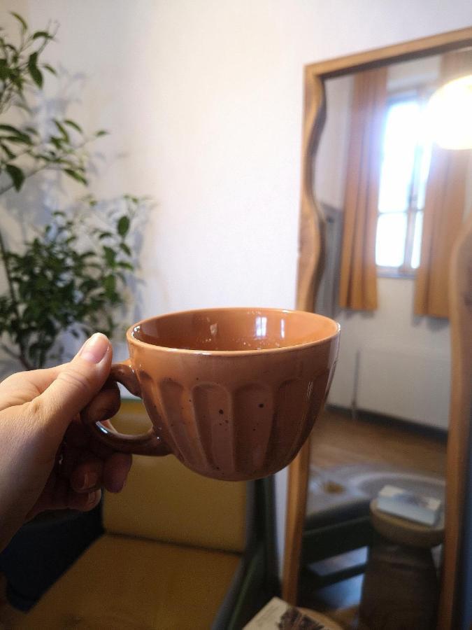 Codicei Studio ブラショフ エクステリア 写真