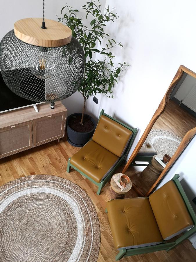 Codicei Studio ブラショフ エクステリア 写真